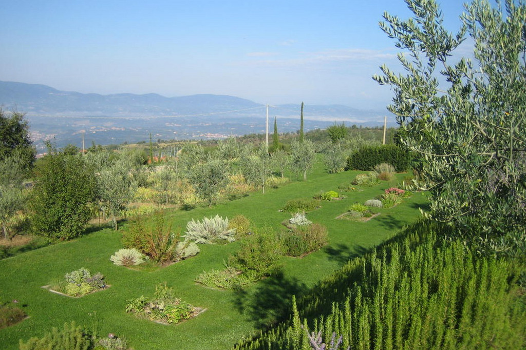 Aromatic Herb Garden with Arno Valley view