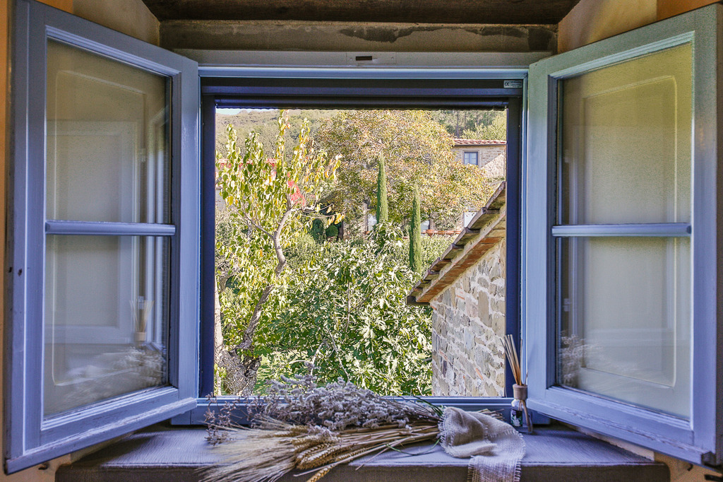 The greenery from the window...