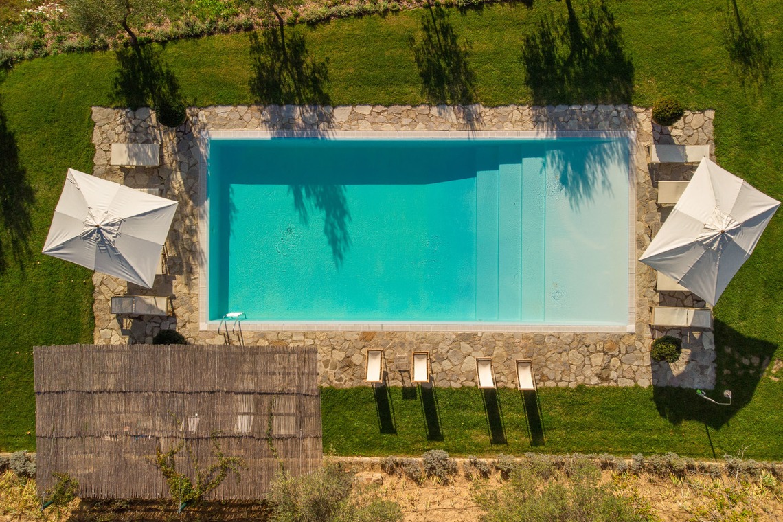 Pool and Treehouse 