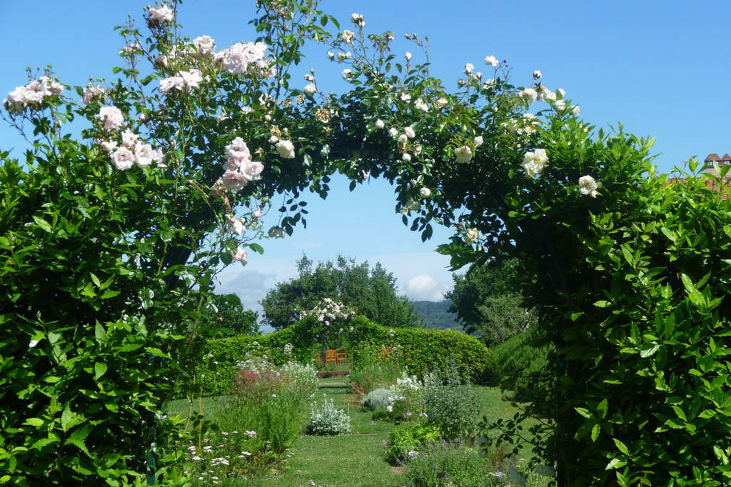 Officinal Herb and Aromatic Plant Garden