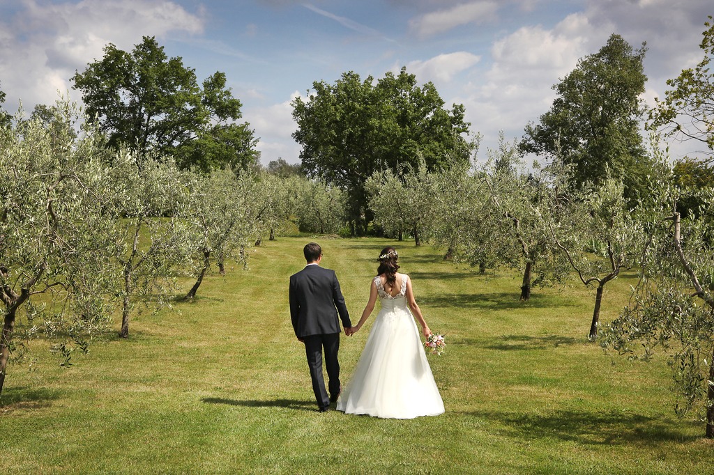 Among the olive trees