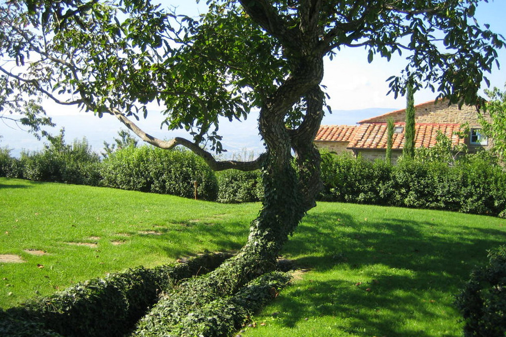 Villa Il Roseto Private Garden