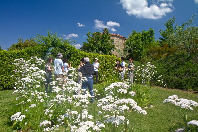 Tour of the Herb Garden