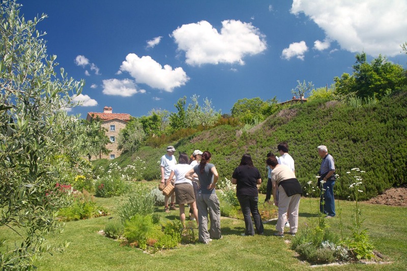 Tour of the Herb Garden