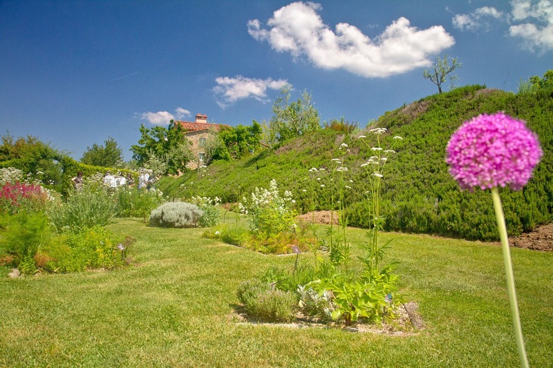 The Herb Garden