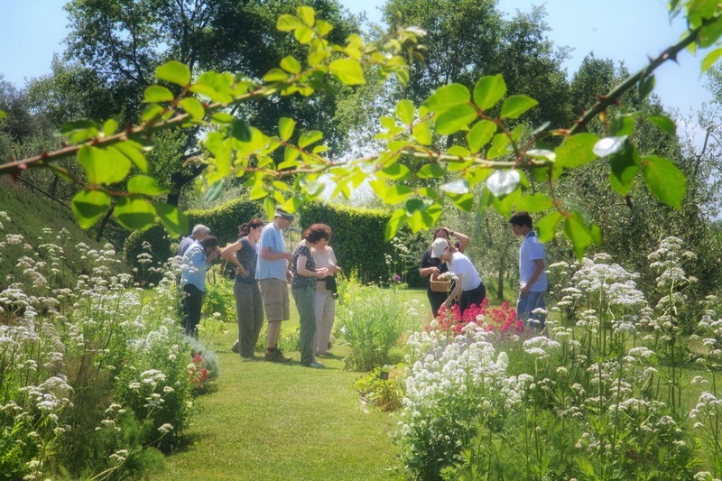 Tour of the Herb Garden