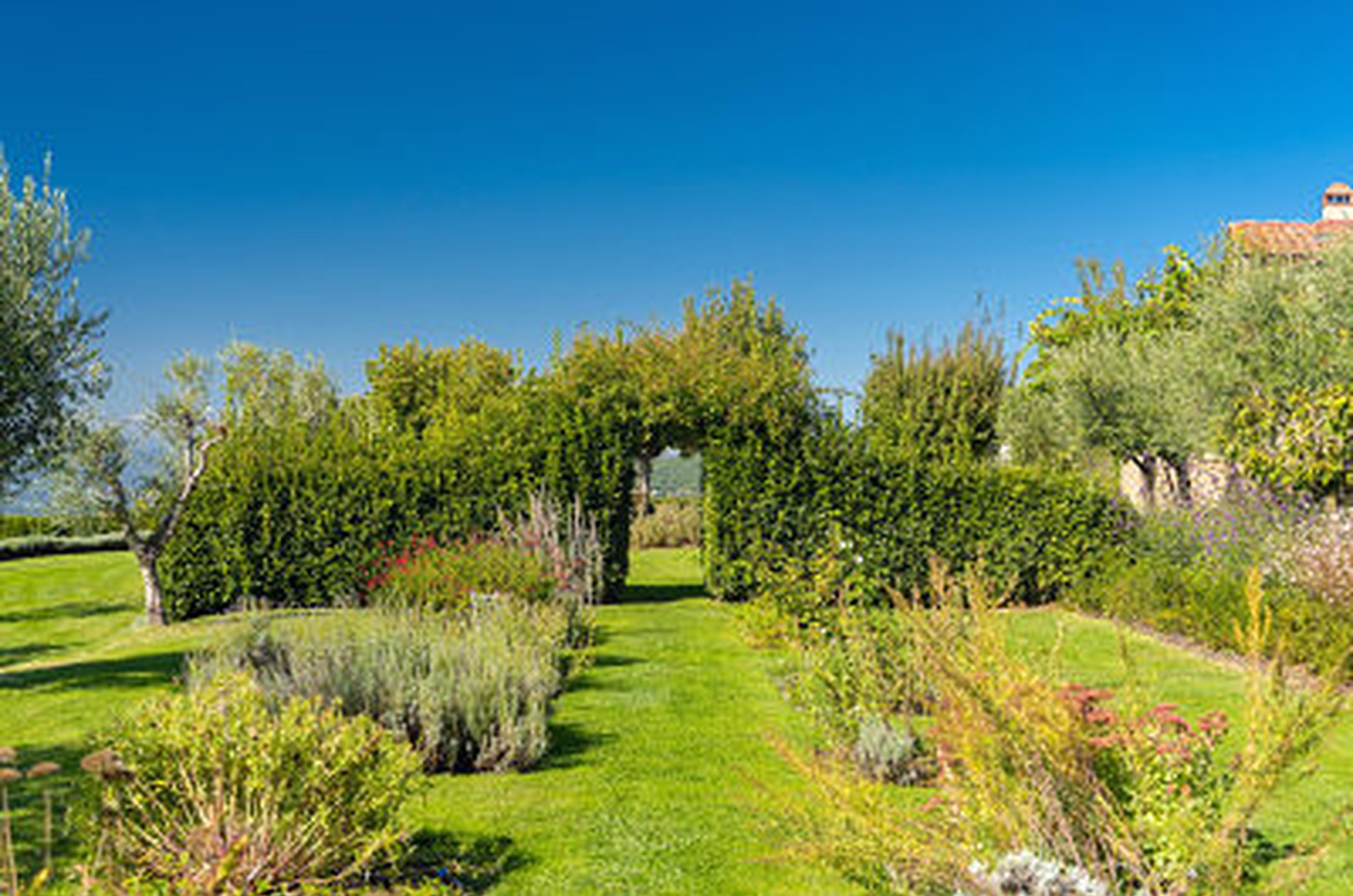 Officinal and Aromatic Herbs Garden