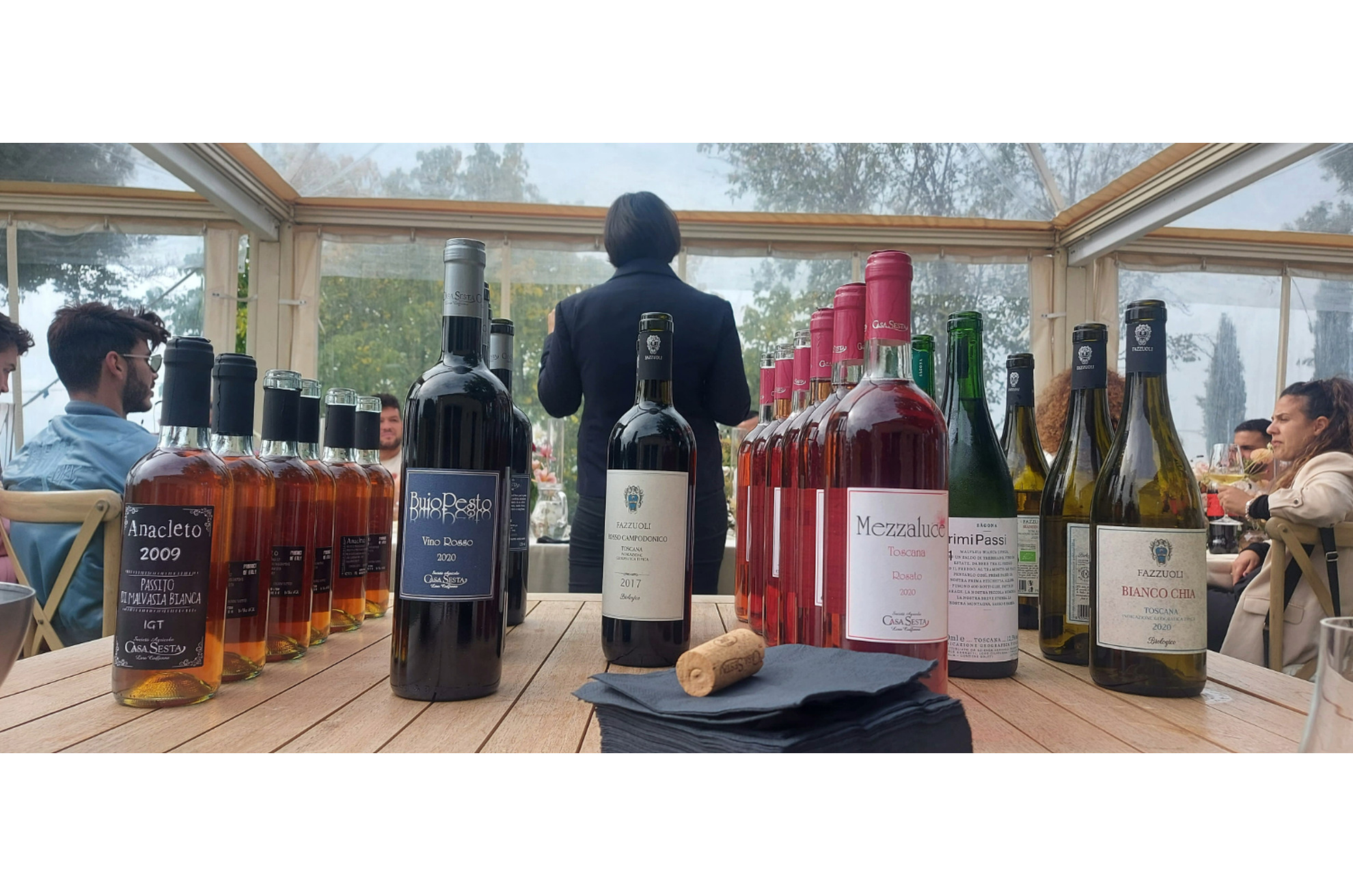 Tasting of local wines