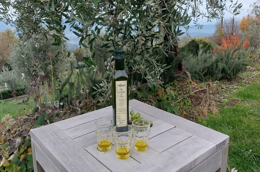 Tasting of olive oil