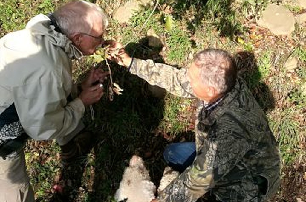 Truffle Hunting