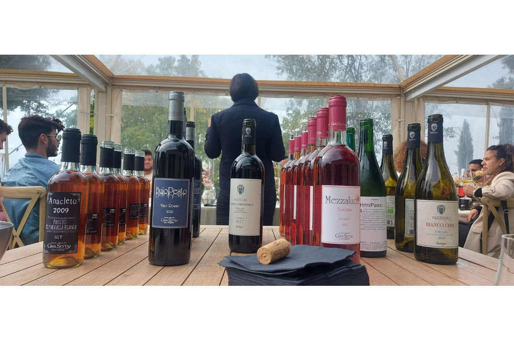 Tasting of local wines
