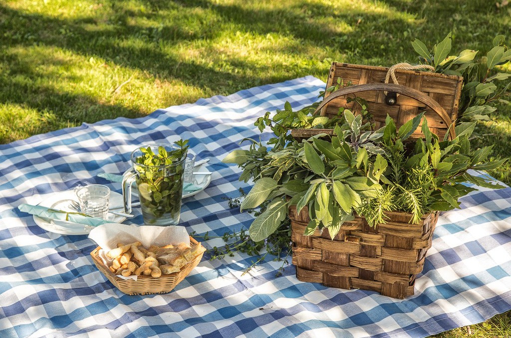 Herb Garden Tour